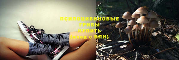 марихуана Новозыбков