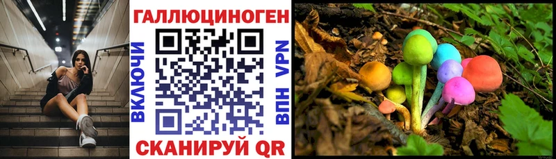 Псилоцибиновые грибы Psilocybine cubensis hydra ссылка Порхов